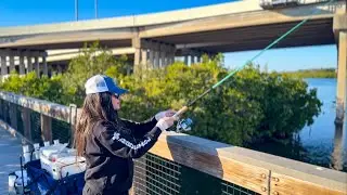 Wintertime Bridge Fishing in St Petersburg, FL