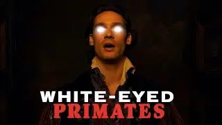 Why Humans Have White Eyes (And No Other Primate Does) | HISTORY FOR SLEEP