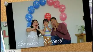 Living in Sweden: Baby #2 Gender Reveal