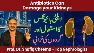 Antibiotics Can Damage Your Kidneys