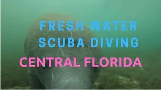 Fresh Water Scuba Diving in Central Florida
