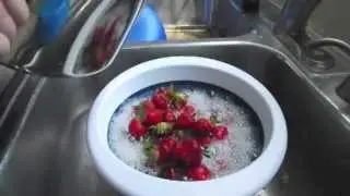 Cleaning Berries With Shaklee Basic H2