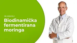 BIODYNAMIC&reg; ORGANSKA FERMENTIRANA MORINGA Moćan antioksidant i nepresu&scaron;an izvor vitamina i minerala.