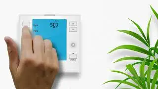 PROsync Video Training - Setting A Schedule