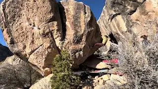 The Dude | New Joes, UT (Yelena Wu)