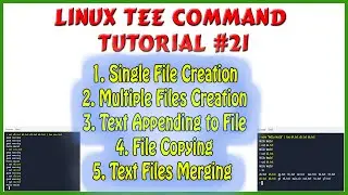 Tee Linux Command Tricks | File Command | File Copying | Files Merging | File Creation | Linux Pipe