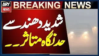 Visibility affected by heavy fog in Punjab