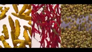 Adani Spices - TVC USA 40Sec