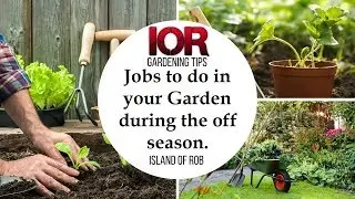 Jobs to do in your Garden during the off season