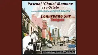 Conurbano Sur