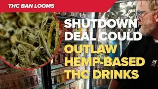 THC drinks could become federally illegal under shutdown bill | Impact on breweries