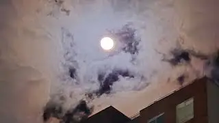 ENG - 999 - Horror Literature (Machen - Lovecraft - Poe) - Soul connections - Black cat energy 🐈&zwj;⬛✨️
