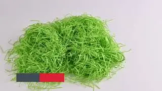 Ostergras Gras zur Deko an Ostern - Dekoration Schm&uuml;cken klassisch z.b mit Ostereier, Osternest