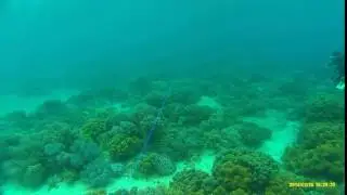 Dive Test 2 - Sanwu Lasers