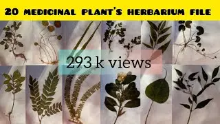 Herbarium file ||20 medicinalplant specimens in herbarium sheet ||Herbarium sheet||Herbariumproject