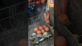 Trying out this viral dishwasher hack for washing produce
