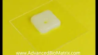 LifeInk 200 Collagen BioInk Glass Coverslip Adherence Test