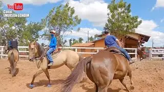 NO AQUECEDOR DOS CAVALOS NA VAQUEJADA DO PARQUE MACEDÃO