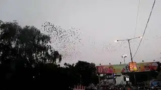 6 December @ Jagat circle