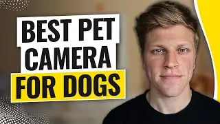 Best Pet Camera for Dogs (2026)