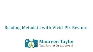 Viewing Metadata with Vivid-Pix Restore