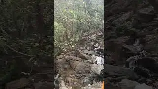 Killiyur falls yeracaud 🤍 #killiyur #yercaud #yercaudtrip #yercaudhills #falls #travel #amzing #omg