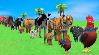 Long Slide Game with Cow Elephant Gorilla Hippopotamus Tiger 3d Animal Game Funny 3d Animals