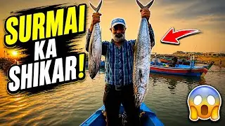 King Mackerel & Tuna Fishing | Trolling on Fishing Boat | Mubarak Village Hayat | Saltwater pakistan