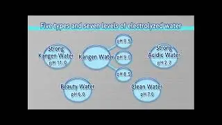 How the LeveLuk K8 Produces Kangen Water | Enagic Australia Overview