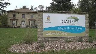 Gallery in the Grove