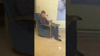 Funny CAT Moments 😂😂 episode 7725 #funnycats #cats #funnyanimals #petsofinstagram