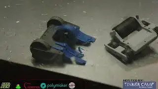 Poison Dart Frog vs Phat Night