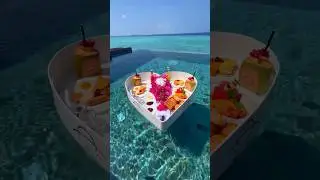 ​Maldives Paradise: My Dream Vacation Guide 2026! 🏝️✨