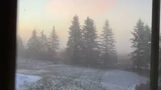 from my window 