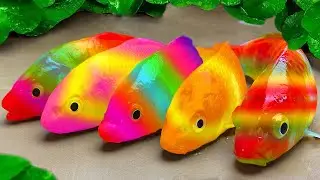 Tangkap banyak ikan kecil, kepiting, ikan kakap pelangi, ikan pensil, ikan lele, dan penyu kecil
