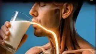 What Happens Inside Your Body When You Eat an Onion? Inspired by educational contents 