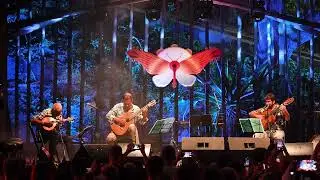 Trio Madeira Brasil interpretam Passarim, no Sunset Rio Instrumental