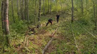 Bushcraft Camp - Clearing Ground