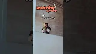&ldquo;Watering My Plants 🌱 Larry June Flip That Hits Hard&rdquo;