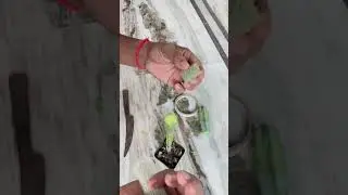 How to save a base rotten cactus | grafting a monkey tail cactus on Myrtillocactus geometrizans |