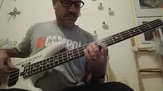 TINTARELLA DI LUNA (Mina) BASS COVER