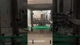 Automatic high speed rotary bottle washing machine