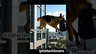 when you train a sensitive, aggressive and watchful dog 💪🙏#security #watchdogs #goviralyoutube #vira