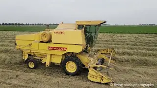 Graszaad dorsen | Harvesting grass seed | Grassamen dreschen | New Holland Clayson 8050 | Fendt | 4K