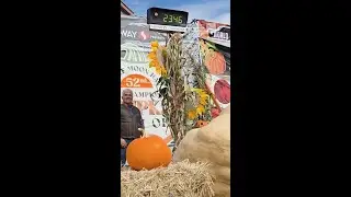 World's Heaviest Pumpkin
