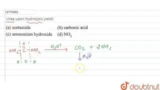 Urea upon hydrolysis yieldsv