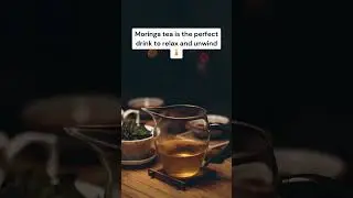 Can I drink Moringa Tea Every day?