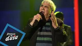 Ljuba Alicic - S namerom dodjoh u veliki grad - PZD - (LIVE) - (Tv Grand 08.04.2024.)