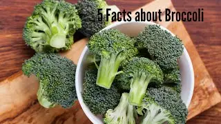 5 facts about Broccoli | 5Factshub
