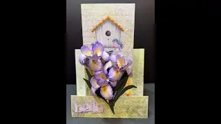 Vertical Center Stepper Card with 3D Irises